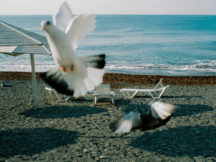 Kodak Portra 800 - 36Exp, 135/35mm Film