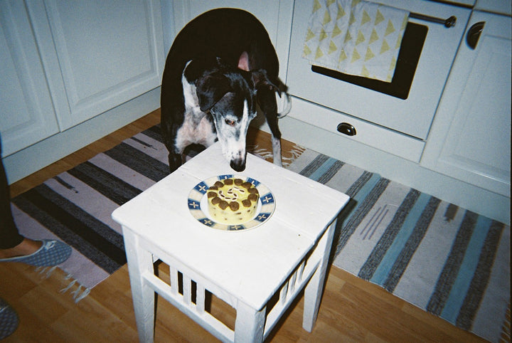 Lomography Simple Use Color Reusable Camera
