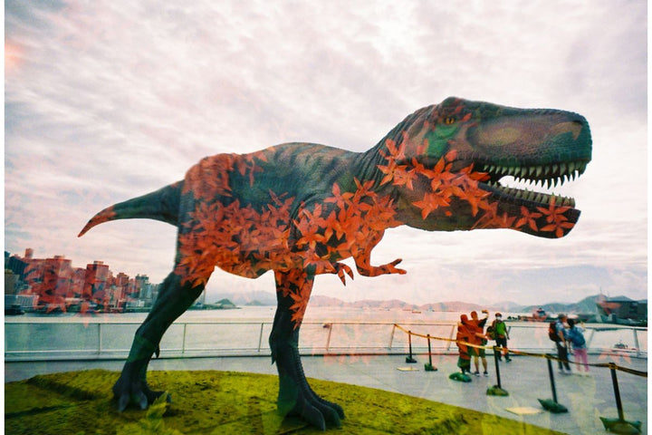 Lomography LomoApparat 21 mm Wide-angle Camera Neubau Edition