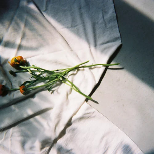 I’M Fine Single Use Camera Regular Edition - AURA (Black)