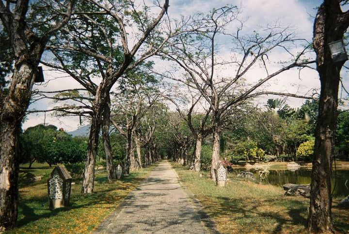 Kodak Power Flash 39Exp Disposable Camera