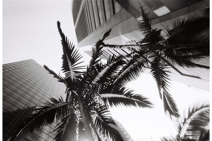 Lomography Simple Use B&W Reusable Camera