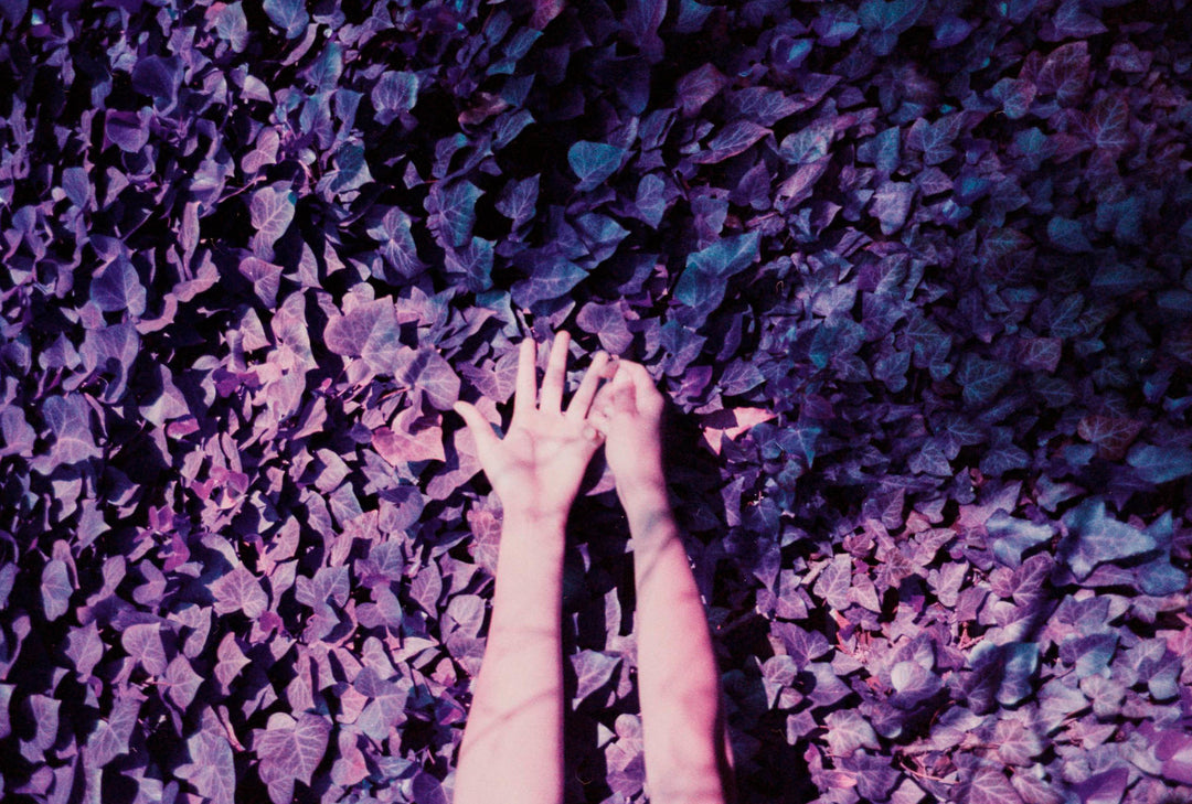 Lomography Lomochrome Purple, 36Exp 35mm Film