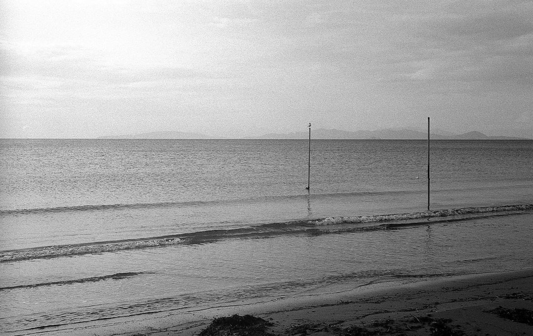 Fomapan 200, 36 Exp 35mm Film