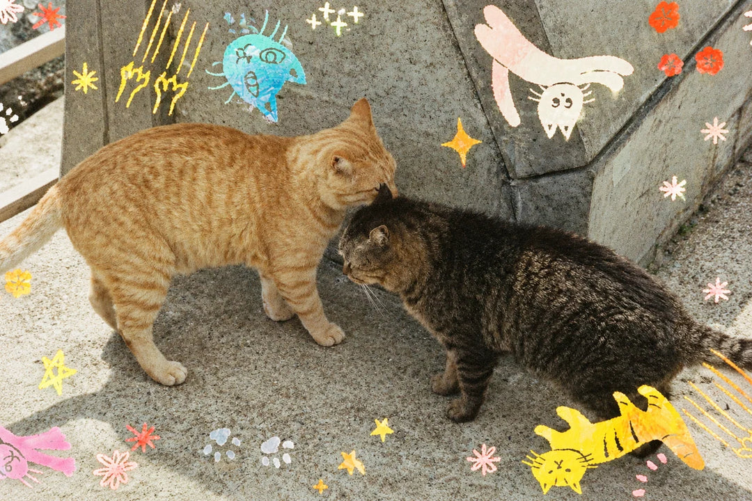 RETOCOLOR CAT'CHA 400, 27 EXP 35mm Film
