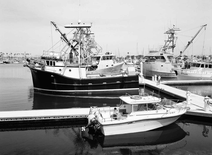 Kodak Ektapan 100 - 36Exp, 135/35mm Film