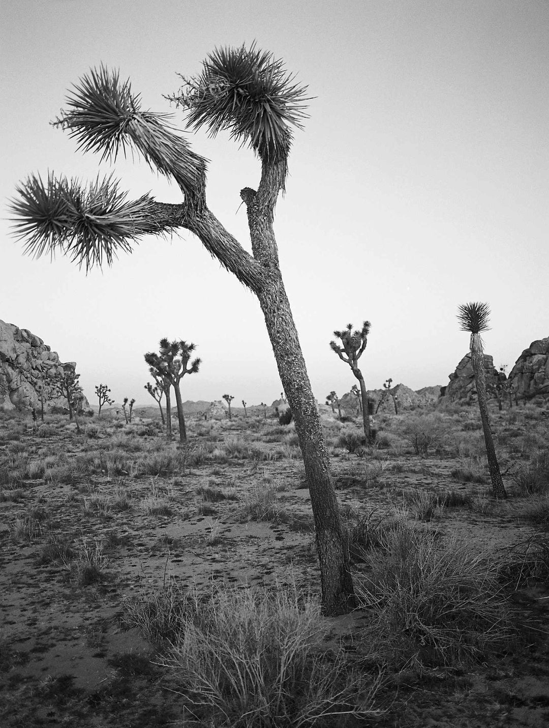 Kodak Ektapan 400 - 36Exp, 135/35mm Film