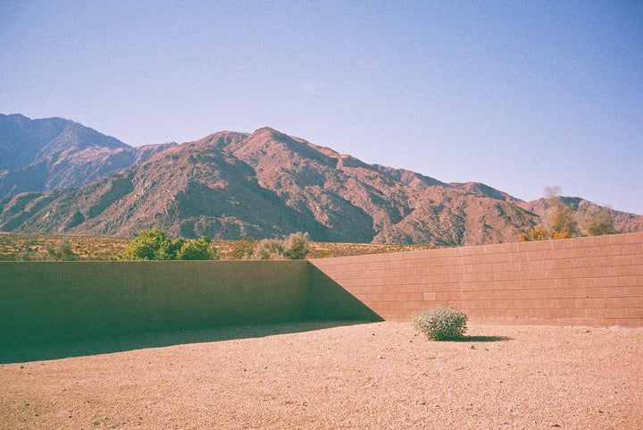 Dubblefilm Bubblegum 400 ISO, 36 Exp 35mm