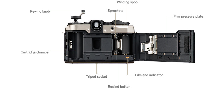 Pentax 17 (Brand New - 1 Year Warranty) – SHOWA