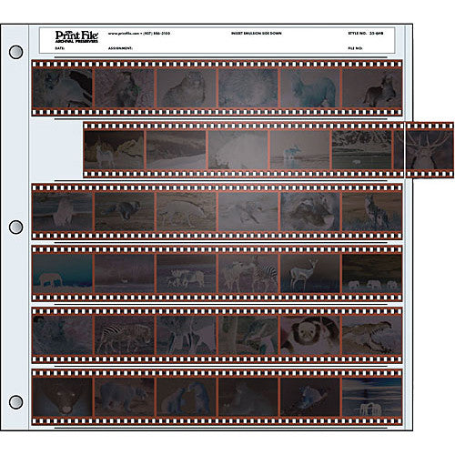 Print File 135 Negative Preservers (100pack)