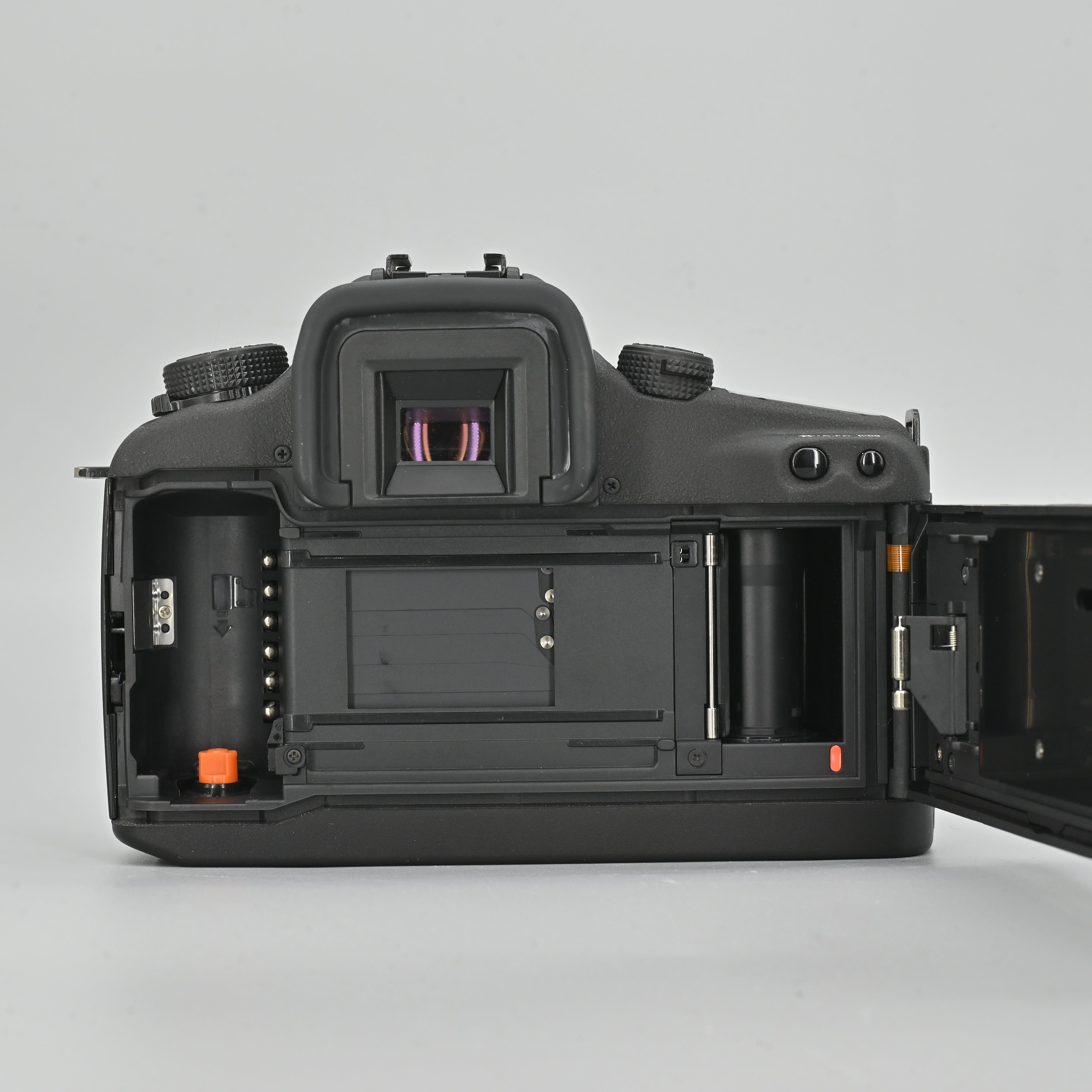 【タンパクボーイ】Canon　EOS 7 Amazon | Canon EOS-7 ボディ | 一眼レフカメラ 通販