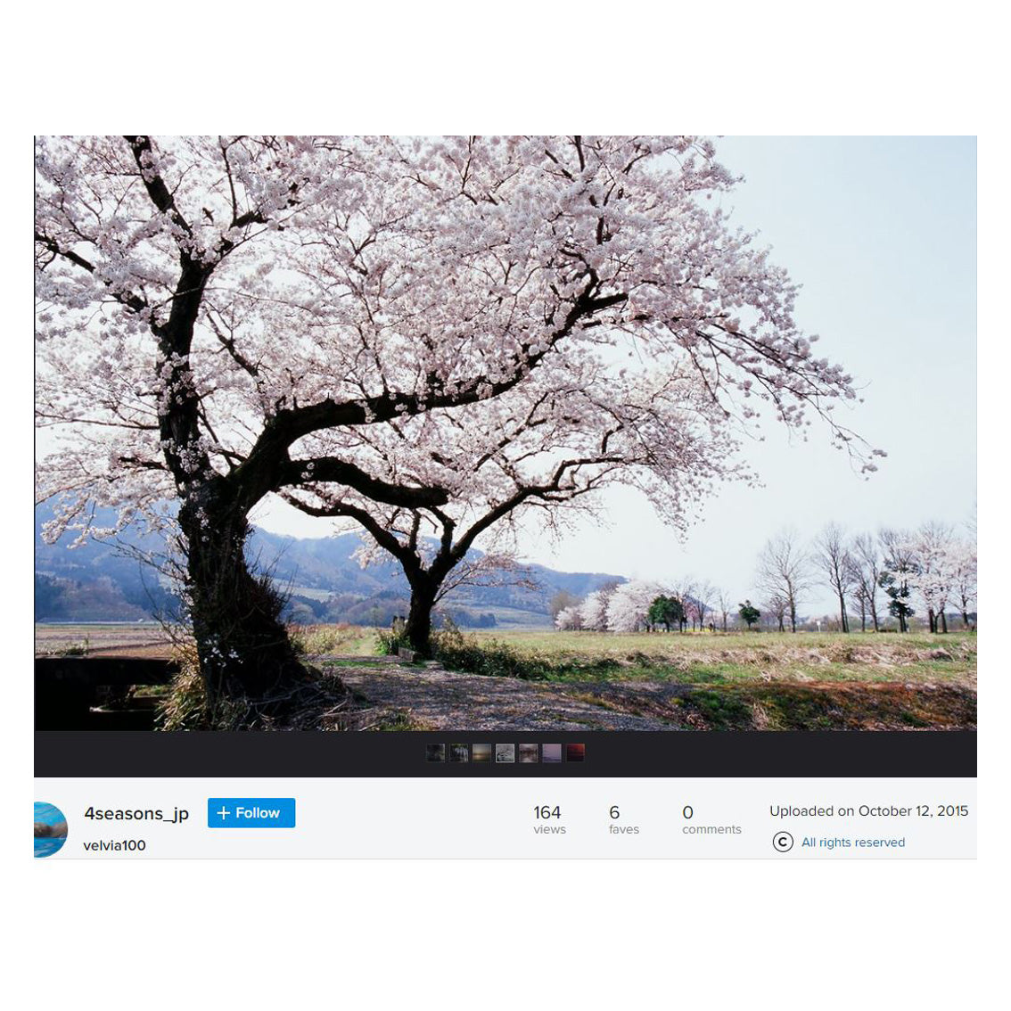 Velvia100F 135　36枚撮り4本 Amazon | 富士フイルム(FUJIFILM) リバーサルフィルム